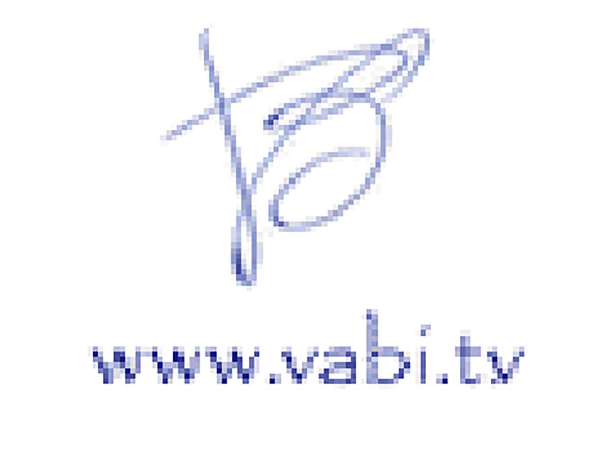 Valerio Bifano - Video Producer